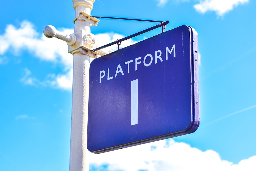 What Each Platform Brings to the Table