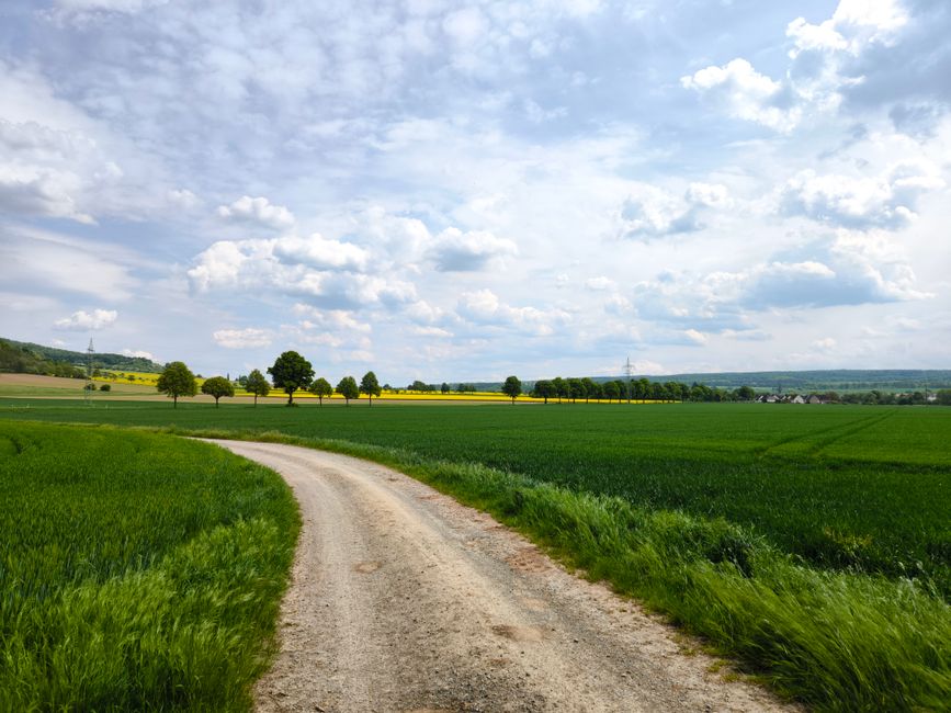 Which Path Is More Attractive Right Now?