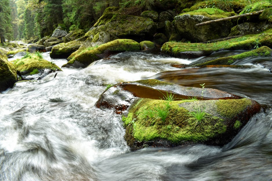 Upstream, Midstream, Downstream: Who Wins in a Crisis?