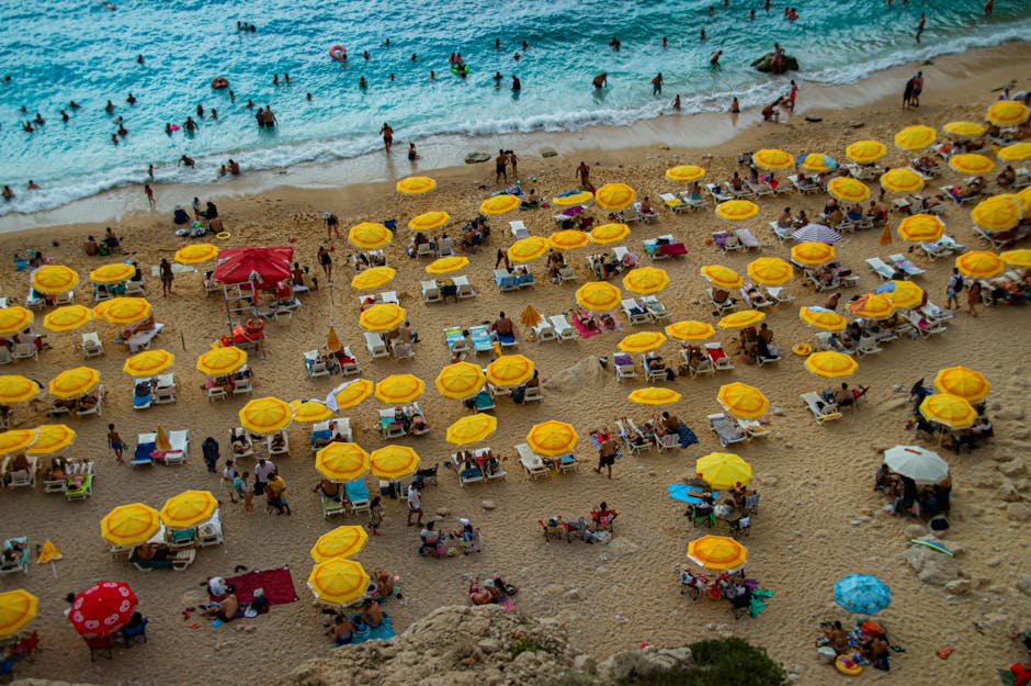 Holidays That Lead The Pack: A Holiday-by-Holiday Snapshot