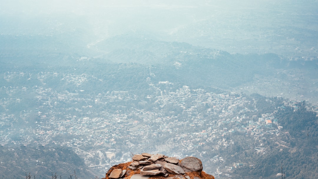 Risk Profiles: How the Two Coins Compare for Beginners