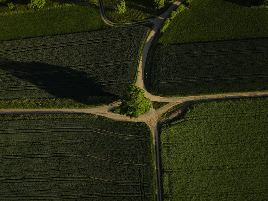 Which Path Fits Which Investor: A Practical Decision Framework