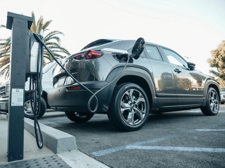 What Makes A Stock Truly Better for EV Investors?