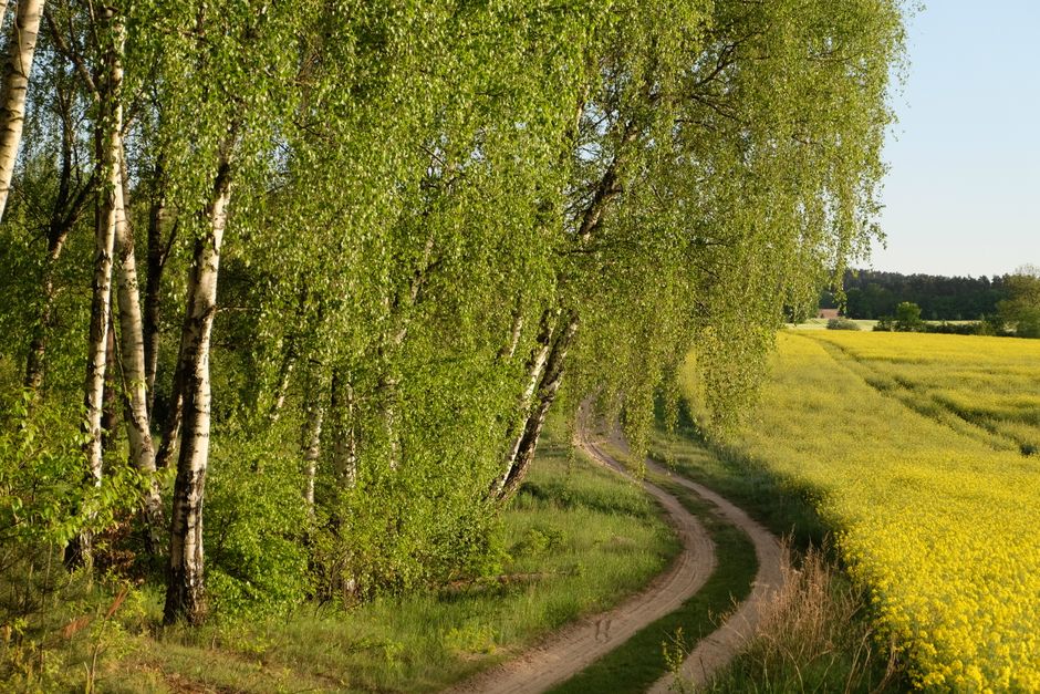 Is There a Safe Path? Balancing Optimism With Prudence