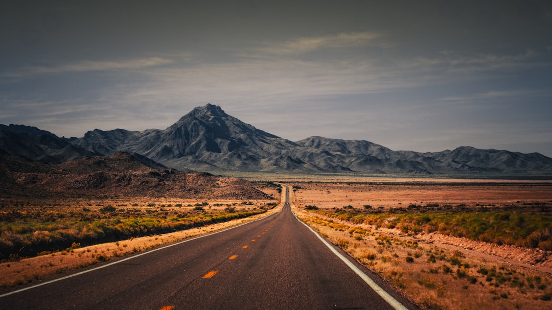 The Realistic Roadmap: What Investors Should Watch in the Next 1–3 Years