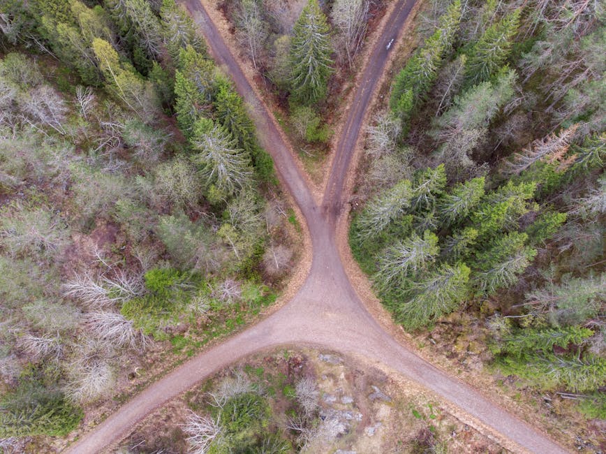 Risks, Trade-offs, and the Path Forward