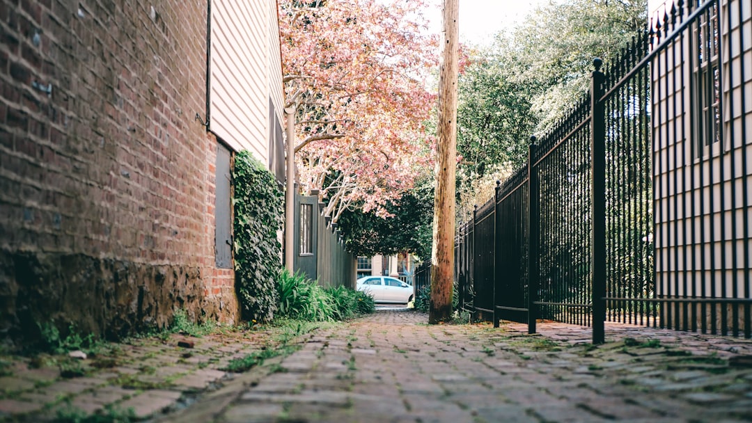 The Investor Perspective: A Hedge, Not a Hype