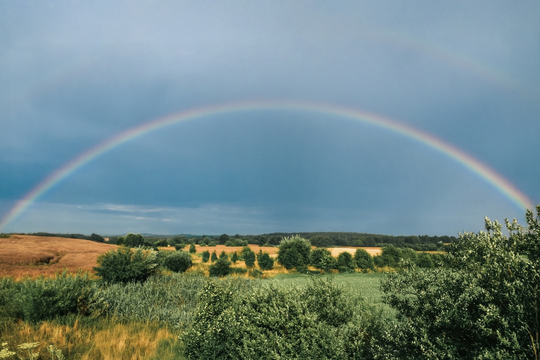 The Rainbow Chart Narrative, Explained