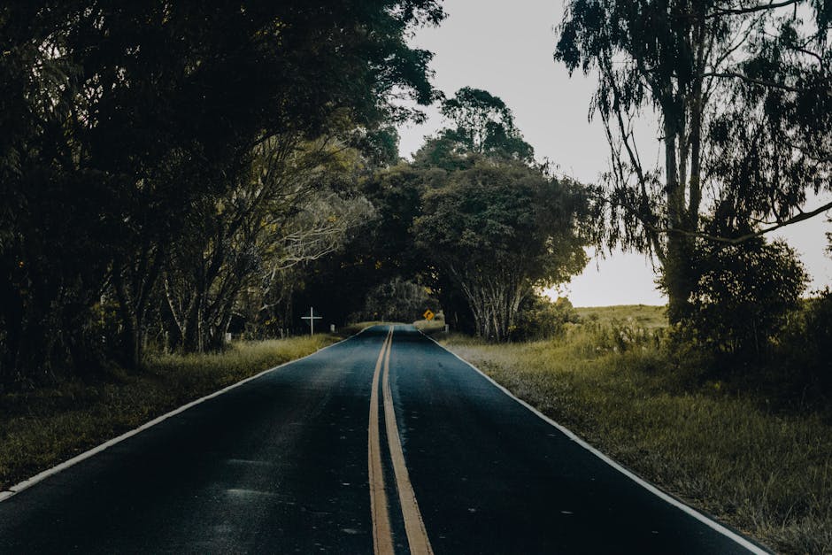 What This Means for the Road Ahead