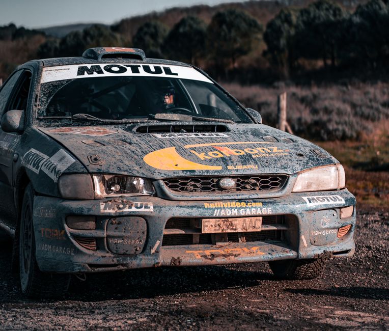 What Is Driving the Rally?