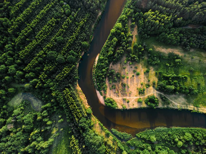 How Investors Can Navigate This Environment