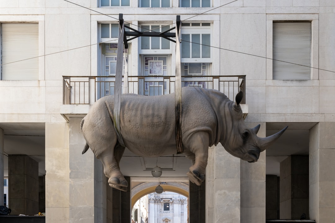 Expert Perspectives: Bulls and bears weigh in