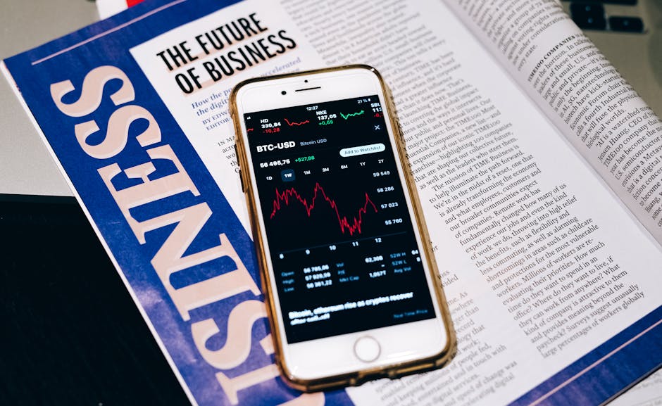 MercadoLibre at a Glance