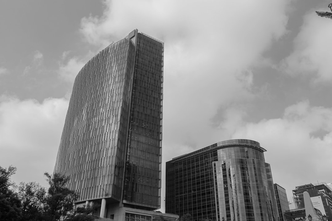 What the Potrero Stake Could Signal