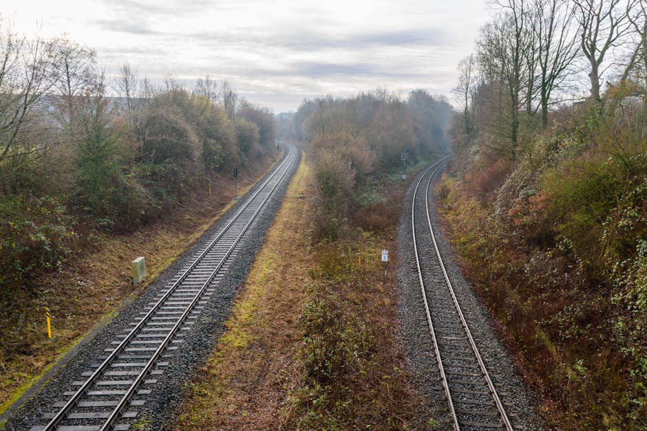 Two Funds, Two Tracks
