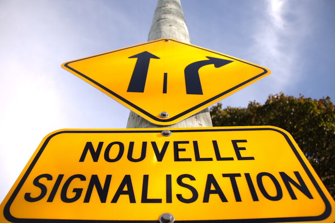 Regulatory Scene and Risk Considerations