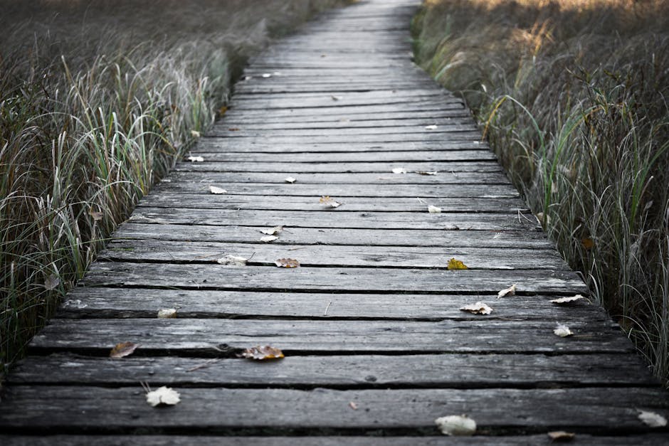 Key Takeaways: A Clear Path Forward