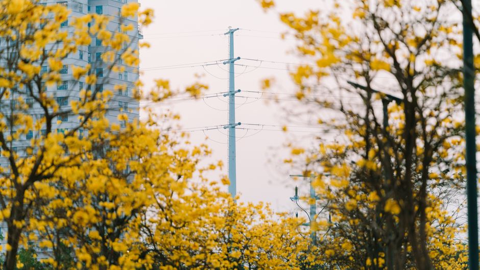 Bottom Line: Is Bloom Energy or Plug Power the Better Buy in 2026?