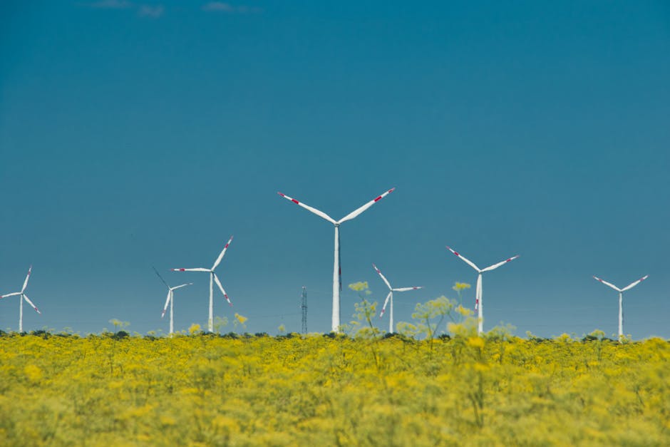 Is bloom energy stock: buy? An Investor’s Look