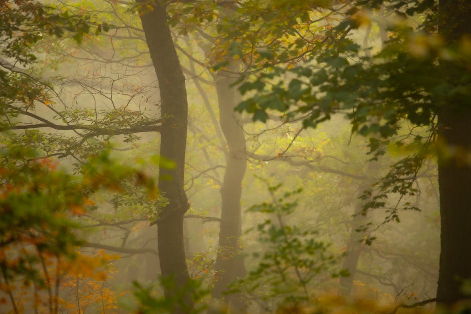 Guardrails: What I Would Do Differently If I Had to Start Over