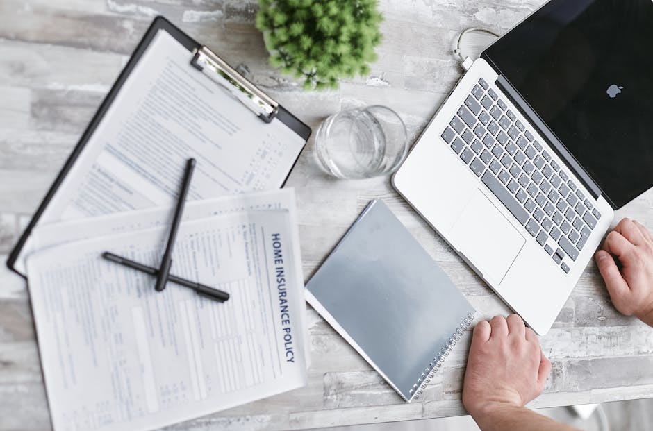 How the Policy Works