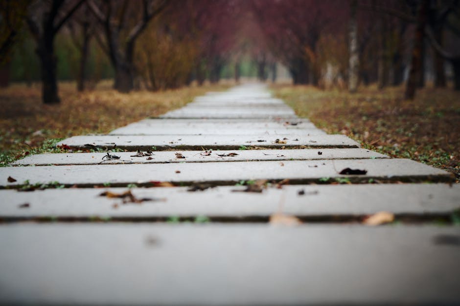 Culture, Growth, and the Quiet Path Forward
