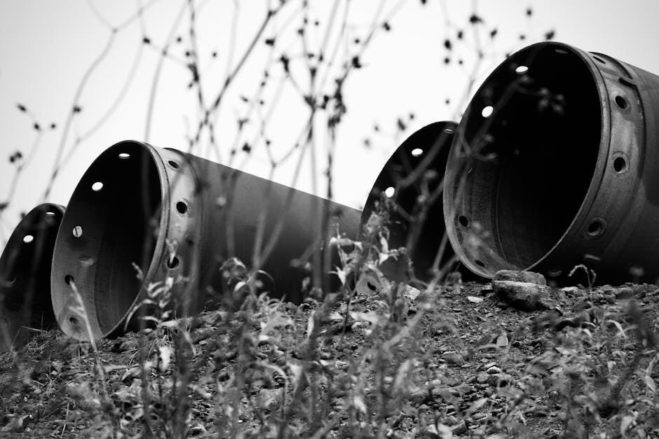 Pipeline Progress: Turning Science Into Milestones