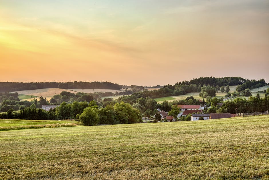 Economic Impact on Towns and Ranches