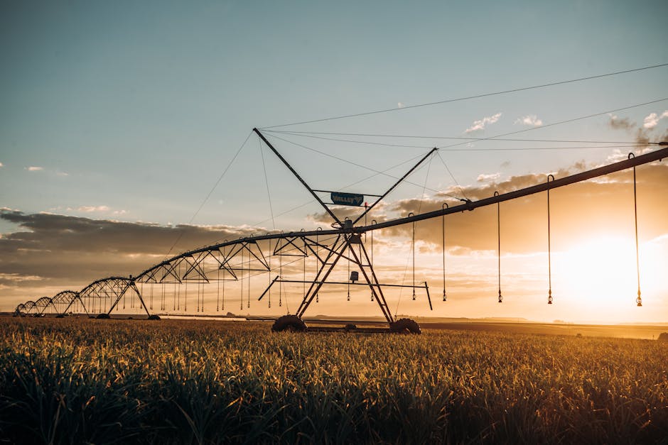 What Growers Are Doing Next
