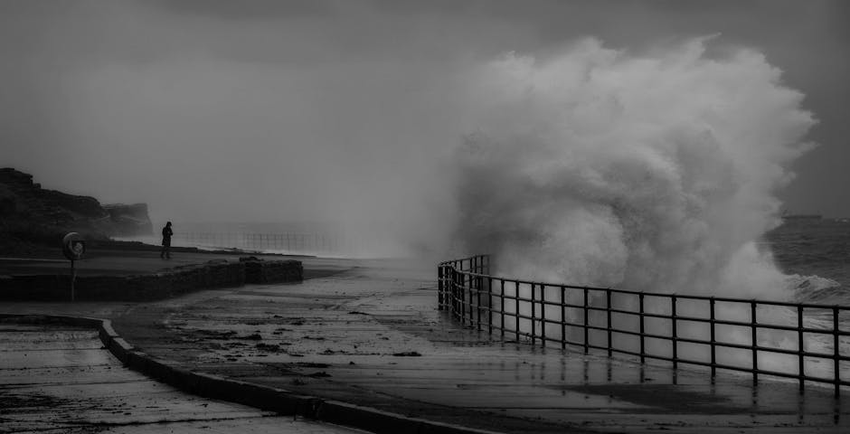 Driving Forces Behind the Surge