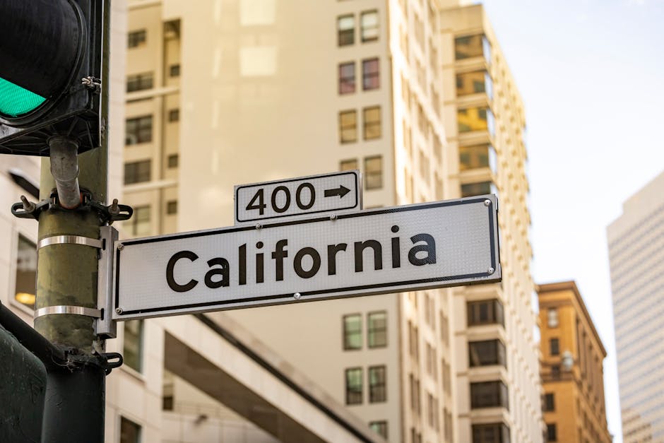 Real-World Implications: Californians and the Loan Process