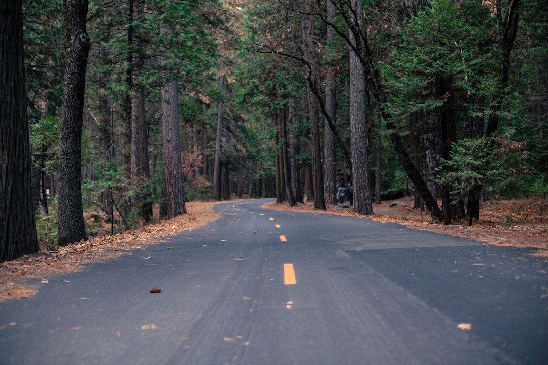 What California Drivers Could Face