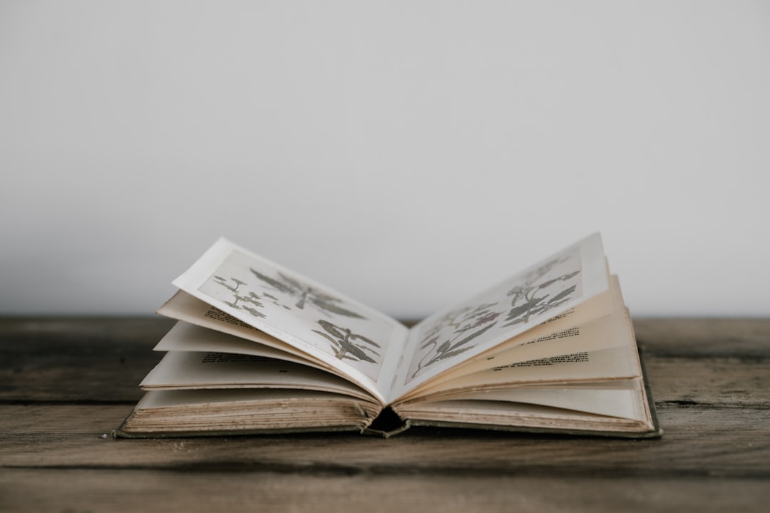 Reading Budget News Like a Pro: What to Look For