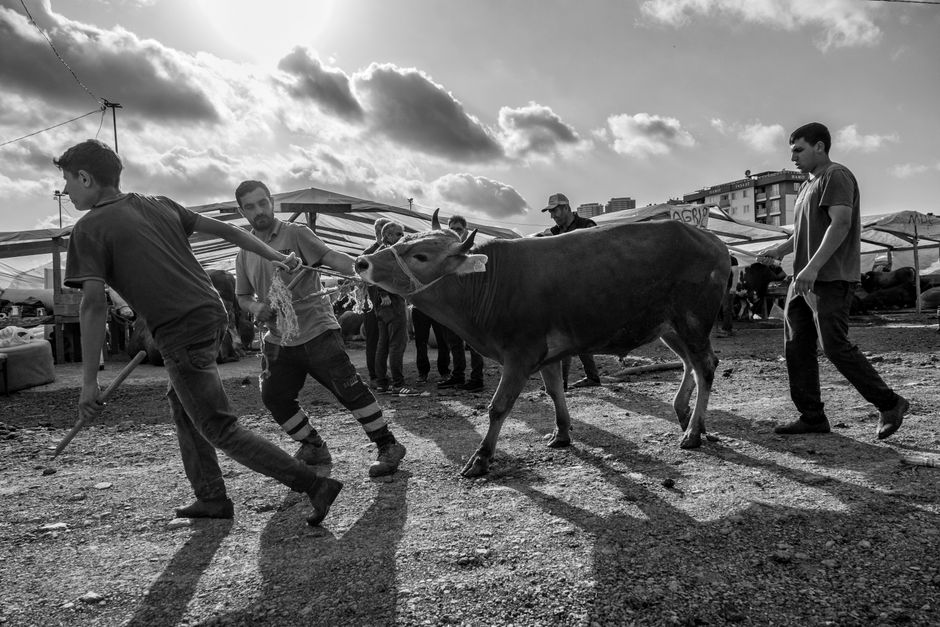 The Bull Case for a Breakout