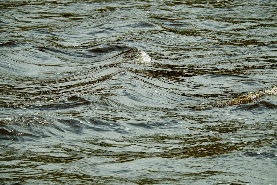 Can the Momentum Continue? Decoding the Key Drivers