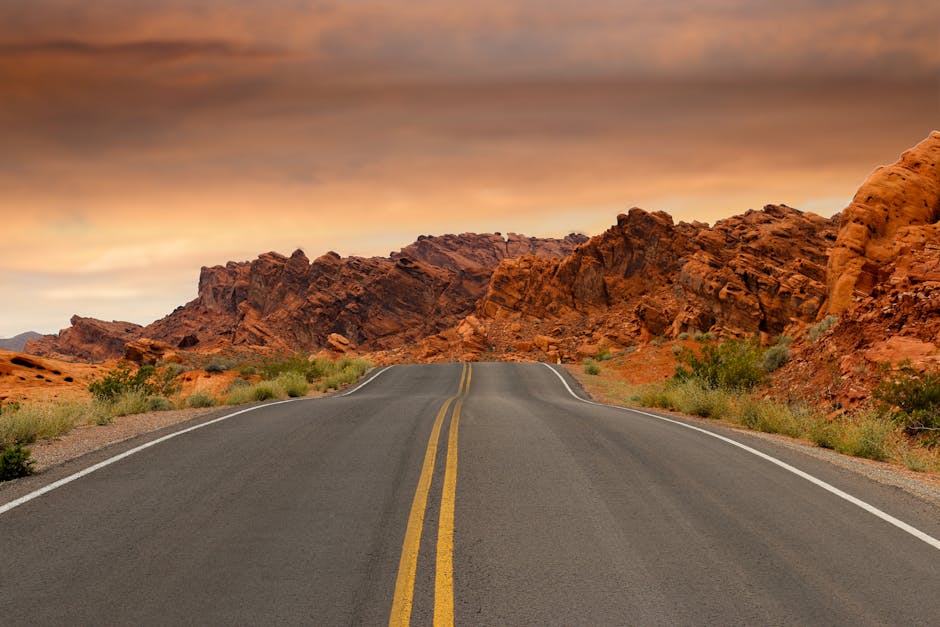 Putting It All Together: The Road Ahead for CELH