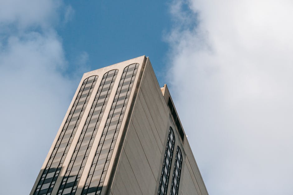 Why This Stays: The Engine Behind the Concentration