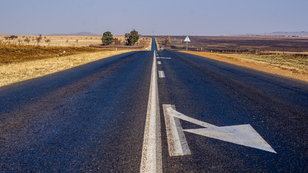 Policy Signals and the Road Ahead