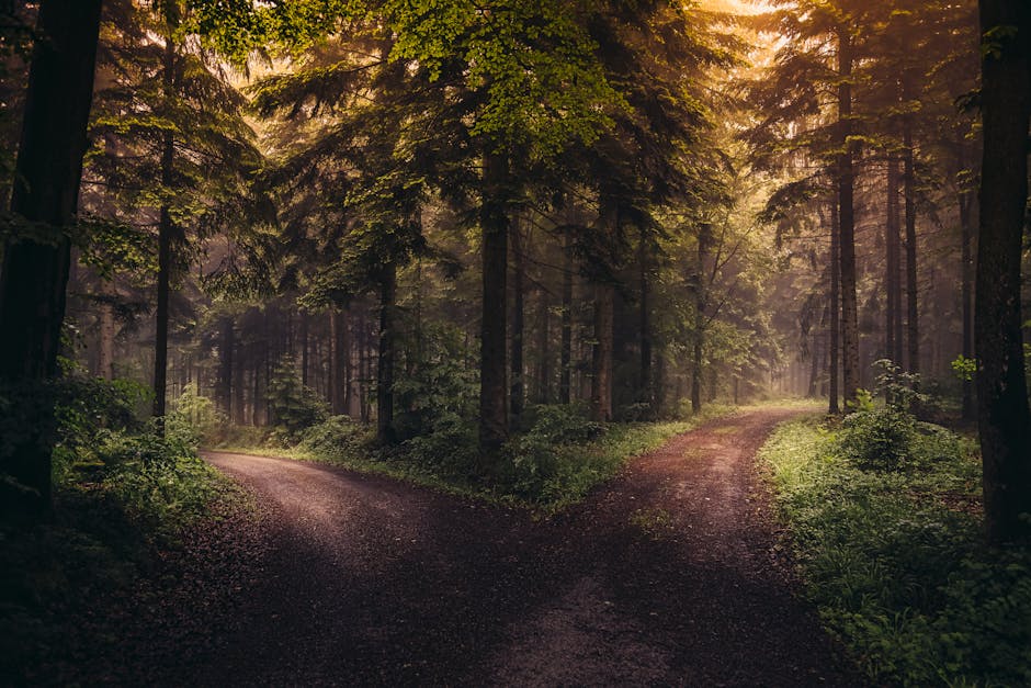 Scenarios: How Different Paths Could Shape Outcomes
