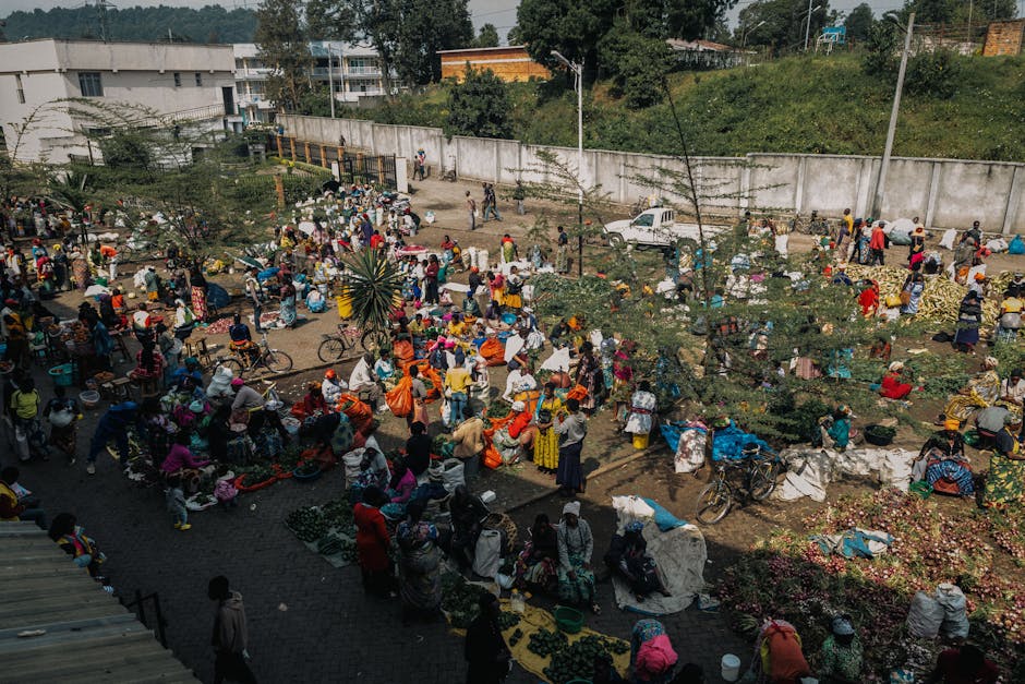 Pricing Landscape at a Glance