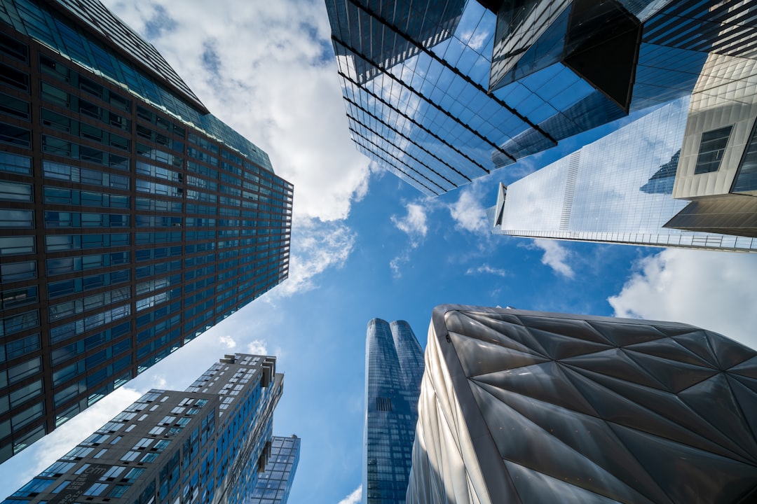 Risks, Counterpoints, and a Balanced View