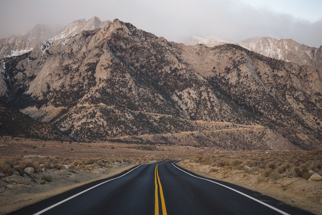 Putting It All Together: A Roadmap For Investors