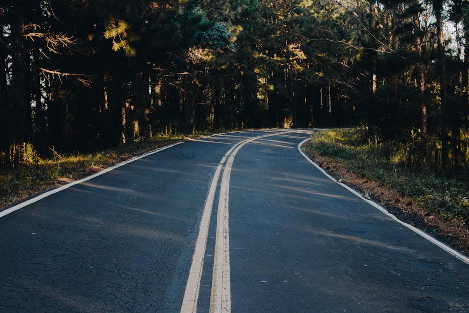 Investor Takeaways and the Road Ahead