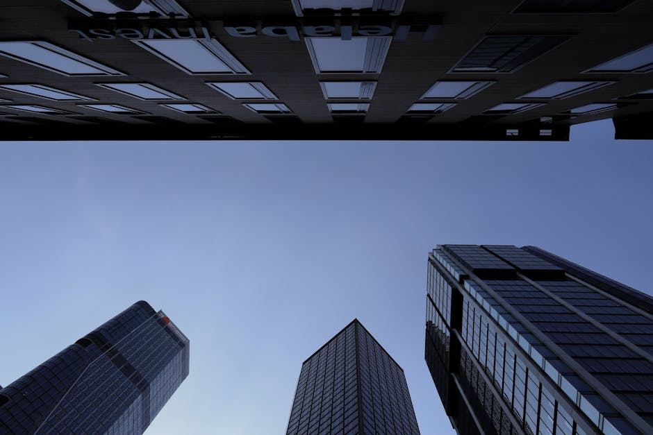 What Citi sees next: a path to recovery hinges on governance clarity