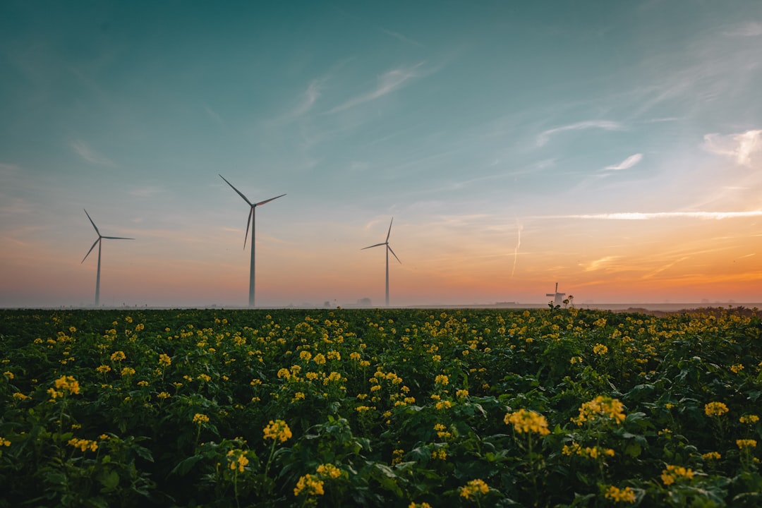 What the Climate Tech World Is Saying
