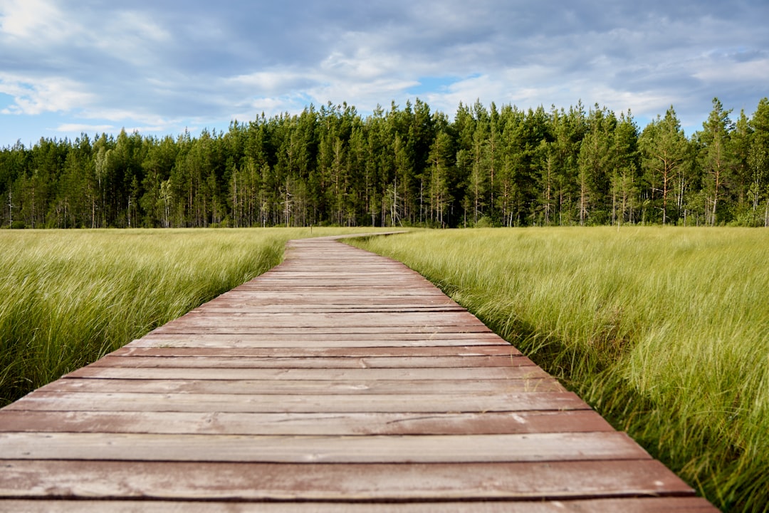 What The Incremental Path Could Look Like In Practice