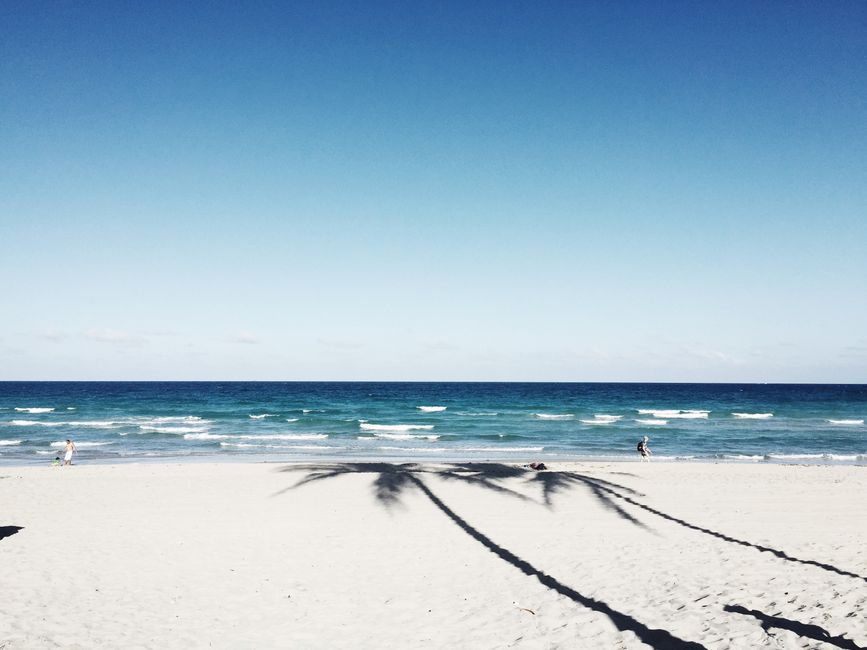 What This Means for Palm Beach And The Florida Luxury Market