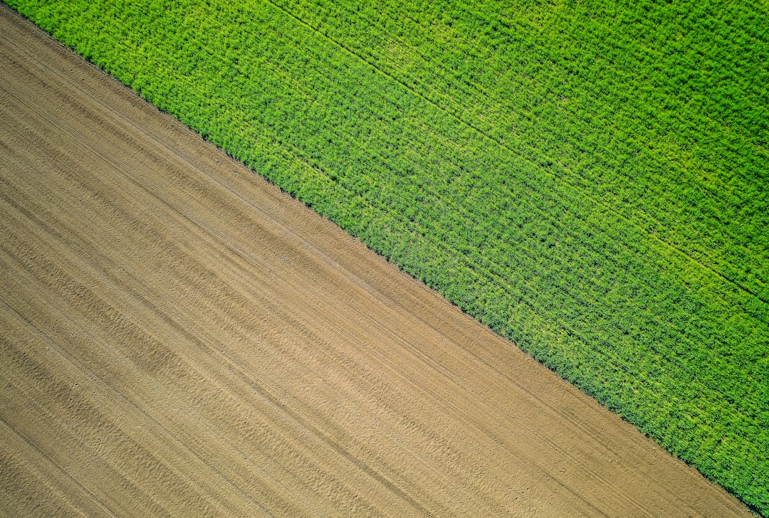 The Two Sides of Monoculture: Mourning and Mistrust