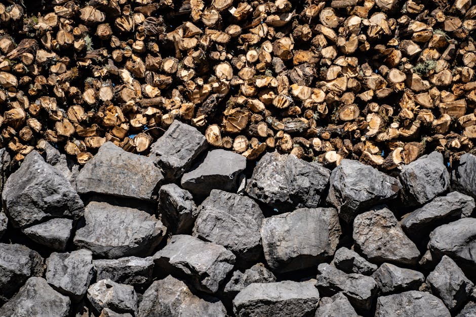 Evaluating a Core Natural Resources Stock: Key Metrics and Watchpoints
