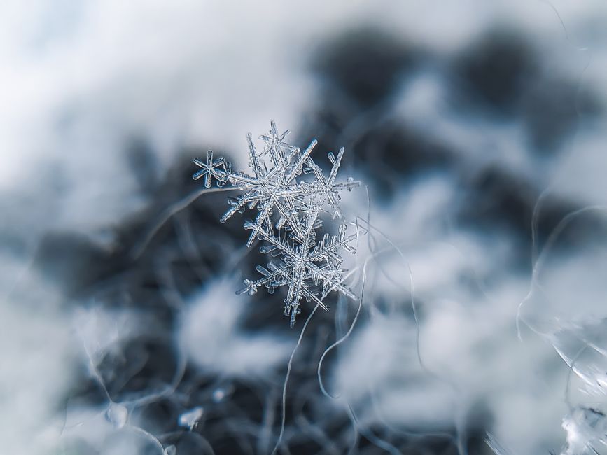 Peers In Focus: Cloudflare And Snowflake